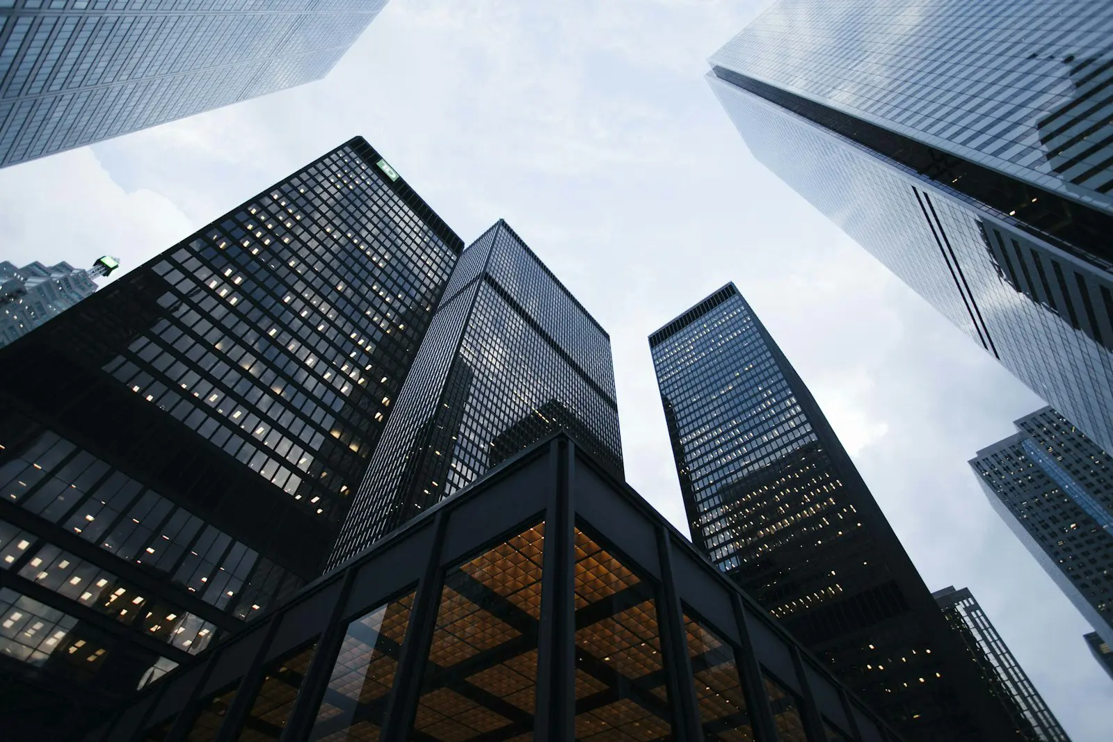 Business Header